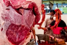 Stok Daging Sapi di...