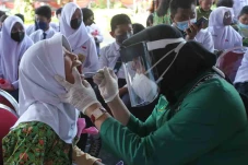 Pemeriksaan Kesehatan...