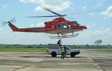 Pelepasliaran Harimau...