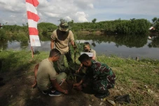 Penghijauan di Kawasan...