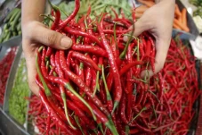 Harga Cabai Rawit Merah...