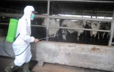 Penyemprotan Disinfektan...