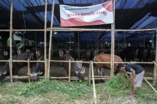 Pemerintah Berikan Ganti...