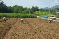 Potret Desa Wisata Karangrejo...
