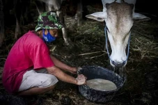 Anies Baswedan Pastikan...