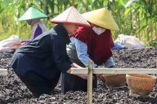 Momen Puan Maharani...