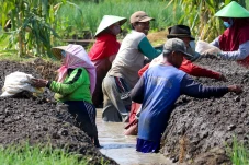 Jelang Idul Adha, Harga...