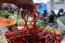 Tenang Bunda, Harga...