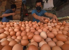 Harga Telur di Banten...