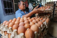 Kenaikan Harga Telur...