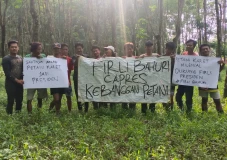 Petani Karet Milenial...