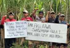 Petani Tebu Magetan...