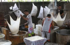 Harga Kedelai Terus...