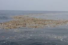 Sampah Laut Cemari Dermaga...