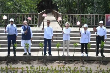 Pemimpin G20 Tanam Mangrove...