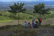 Libur Nataru, Gunung...
