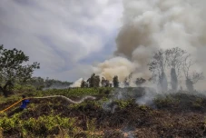 Kebakaran Hutan dan...
