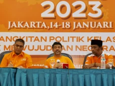 Strategi Judicial Review...