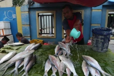 Jelang Imlek, Ikan Bandeng...