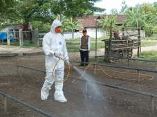 Pastikan Daging Sapi...