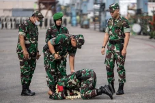 Haru Biru Penyambutan...