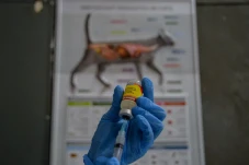 Permintaan Vaksin Rabies...