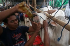 Pemberian Vitamin dan...