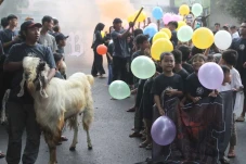 Tradisi Pawai Hewan...