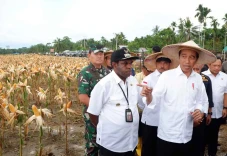 Presiden Panen Jagung...