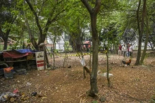 Diduga Jadi Lokasi Ngumpul...