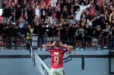 Ilija Spasojevic Brace,...