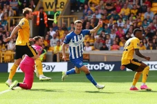 Solly March Brace, Brighton...