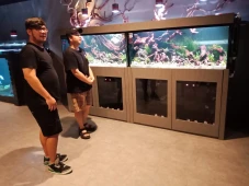 Dari Sebuah Hobi Ikan,...