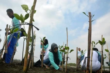Pertamina Patra Niaga...