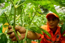 Pemanfaatan Lahan Kosong...