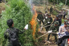 Operasi Pemusnahan 16,2...