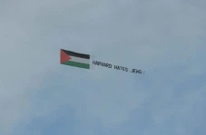 Pro-Palestina, Mahasiswa...