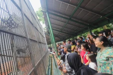 Taman Margasatwa Ragunan...