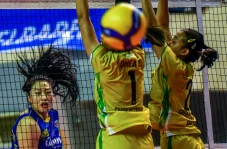 Hasil Proliga 2024:...