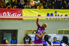 Hasil Proliga 2024:...