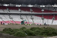 Revitalisasi Rumput...