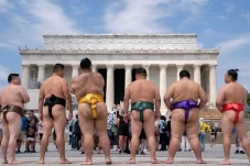 Melihat Eksibisi Sumo...