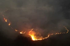 Kebakaran Hutan Menghancurkan...