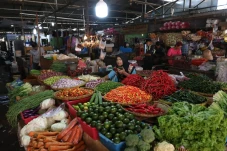 Stabilitas Harga Pangan...