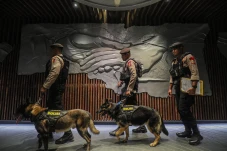 Anjing Pelacak Bantu...