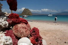 Liburan ke Pantai Pink...
