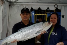 Festival Bandeng Rawa...