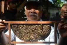 Setetes Manis Pahitnya...