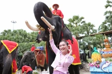 Perayaan Hari Gajah...