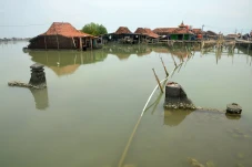 Potret Desa Timbulsloko...